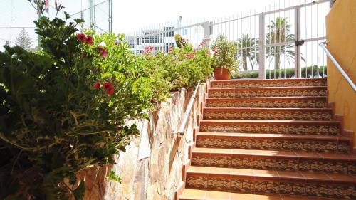 A garden outside Apartamentos Montemar