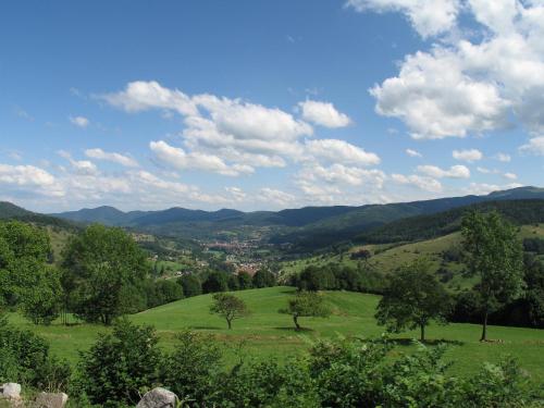 Un paisaje natural cerca del departamento