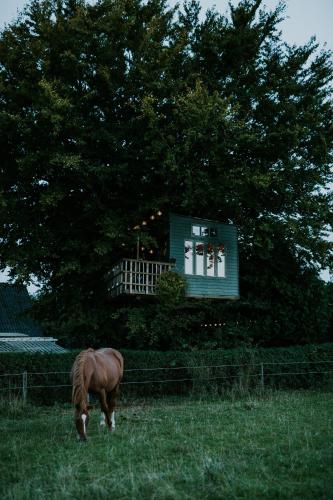 Treehouse escape