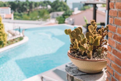 a potted plant sitting on a ledge next to a pool at Apartments Bazar in Ulcinj