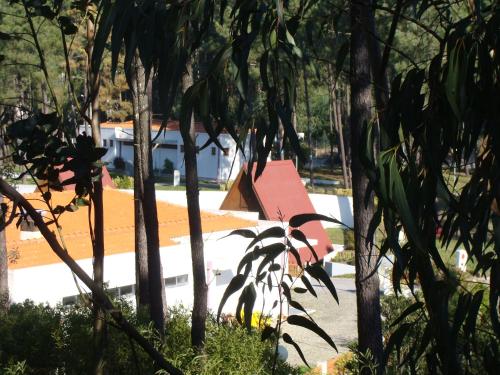 Κήπος έξω από το parque de campismo de Luso