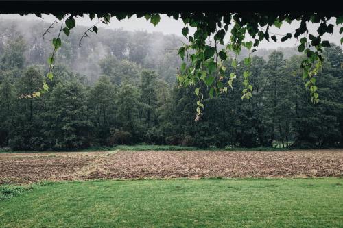 um campo com árvores ao fundo em Pradnik Valley Lodge em Prądnik Korzkiewski