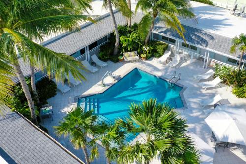 - une vue sur la piscine bordée de palmiers dans l'établissement Orchid Key Inn - Adults Only, à Key West