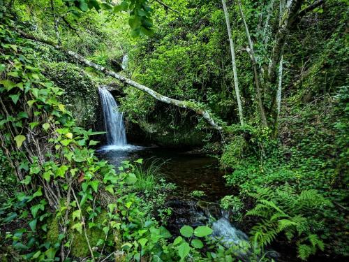 una cascada en medio de un bosque en Monte das Cascatas, en Marvão