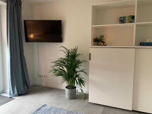 sala de estar con TV y maceta en Ferienwohnung Gartenstadt, en Flensburg