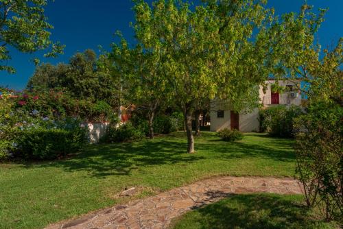 una casa con un albero nel cortile di Le Dimore di Budoni a Budoni