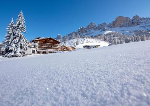 Moseralm Dolomiti Spa Resort om vinteren