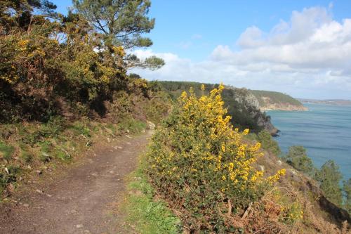 een zandweg met gele bloemen naast de oceaan bij Penty de l'Aber in Crozon