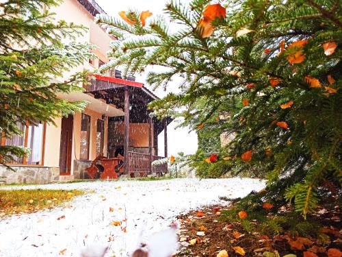 une maison avec de la neige devant elle dans l'établissement Rodopi Houses, à Chepelare