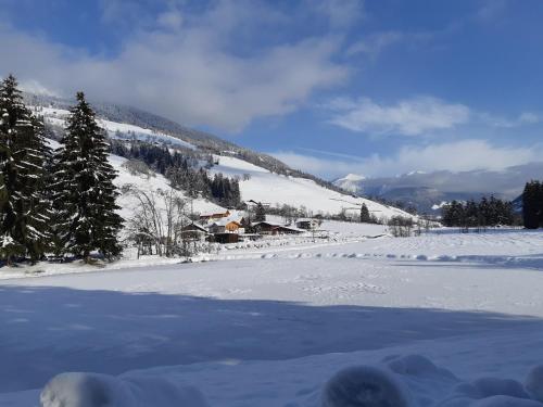 um campo coberto de neve com casas numa montanha em Nestlhof em Vipiteno