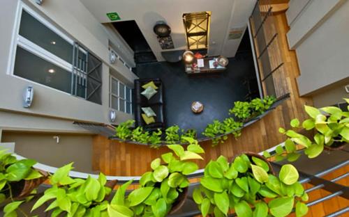 un hall avec des plantes et un escalier dans un bâtiment dans l'établissement Hotel Côté Cour, à Durbuy