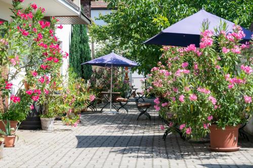 Un jardín fuera de Gästehaus Elfriede