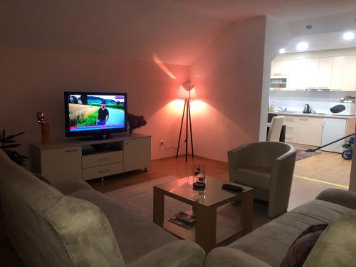 ein Wohnzimmer mit einem Sofa und einem TV in der Unterkunft Apartments Dedic in Dubrave Gornje