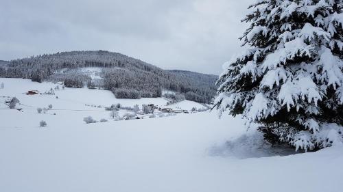 Ferienwohnung am Schneeberg talvella