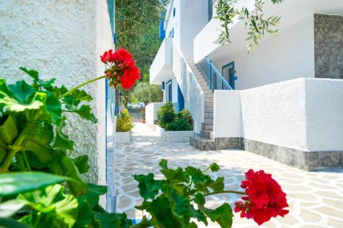 una calle con flores rojas y edificios blancos en Mikres Kyklades, en Skala Potamias