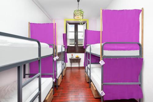 un autobús con literas de color púrpura en una habitación en Patio Hostel, en La Laguna