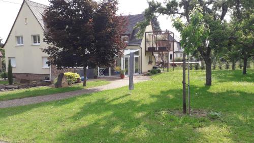 un petit arbre dans la cour d'une maison dans l'établissement Villa/Appartement au coeur des vignes ***, à Barr