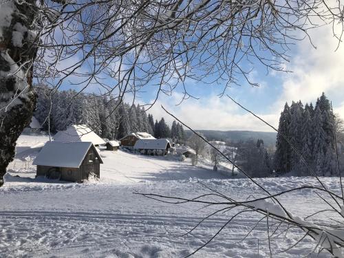 Höhengasthaus Kolmenhof an der Donauquelle a l'hivern