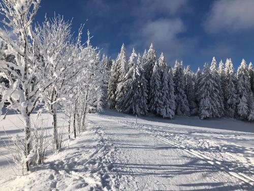 Höhengasthaus Kolmenhof an der Donauquelle a l'hivern