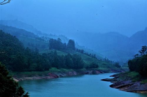 un fiume con alberi sul fianco di una montagna di Ottway Hills Near Mattupetty Dam a Munnar