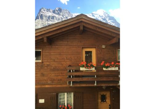 Zdjęcie z galerii obiektu Chalet Altenhaus w mieście Grindelwald