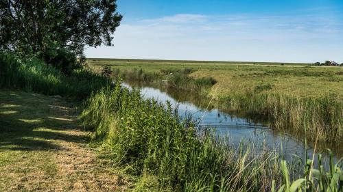 un sentiero attraverso un campo vicino a un fiume di Kirchspielkrug Landhotel & Restaurant a Westerhever