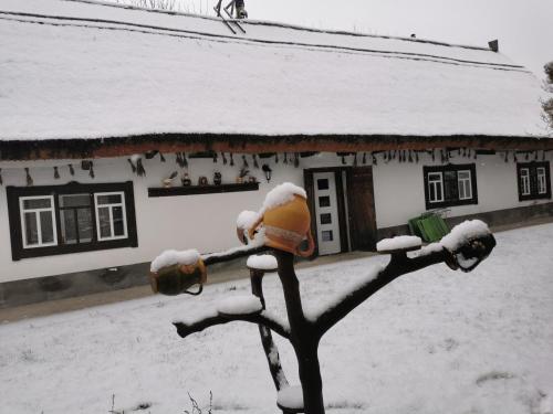 um hidrante coberto de neve em frente a uma casa em Forrás em Egerszólát