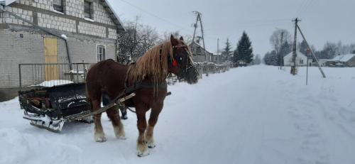 Dom Piotra взимку