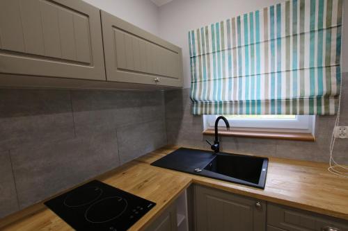 a small kitchen with a sink and a window at Auto-Camping Park in Jelenia Góra