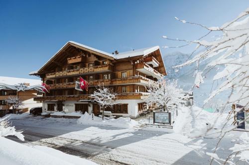 Adler Adelboden tokom zime