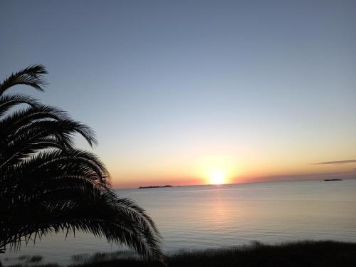 een zonsondergang boven de oceaan met een palmboom bij Monoambiente en Colonia in Colonia del Sacramento