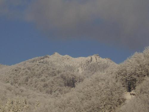 산 경관 또는 게스트하우스에서 바라본 산 전망