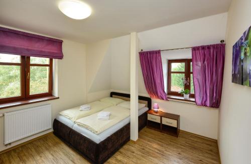 een slaapkamer met een bed en 2 ramen bij Apartmány Na Seníku in Třeboň