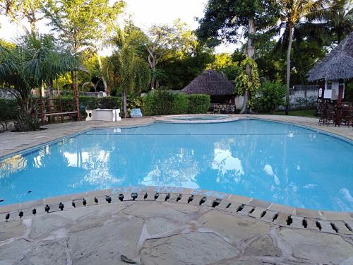 une grande piscine bleue entourée de chaises dans l'établissement Oasis Diani Beach Villas, à Diani Beach