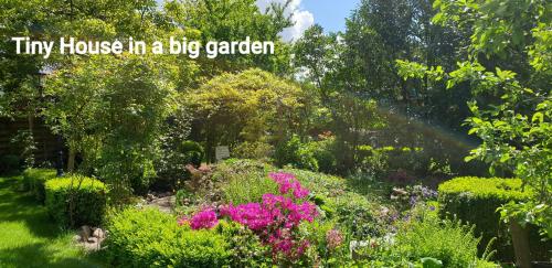 un jardín con flores y una casa de citas en un gran jardín en GUESTHOUSE in een mooie tuin in het centrum van Zuidlaren!, en Zuidlaren