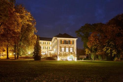 a large building with christmas lights in a yard at night at Schloss Burgellern in Scheßlitz