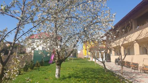 Photo de la galerie de l'établissement Casa Corina, à Turda