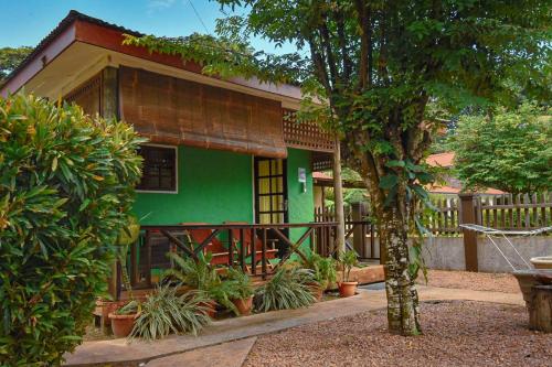 une maison verte avec des plantes devant elle dans l'établissement Fern Lodge Self Catering, à La Digue