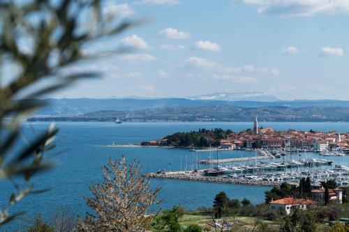 vistas a un puerto con barcos en el agua en Apartma Bellavista, en Izola