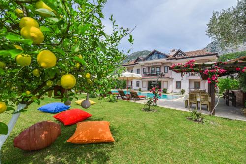 zwei Kissen auf dem Gras vor einem Haus in der Unterkunft Gocek Arion Hotel in Göcek