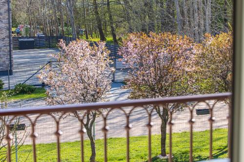 un balcone con 2 alberi e fiori rosa di Sakura_INN Palanga a Palanga