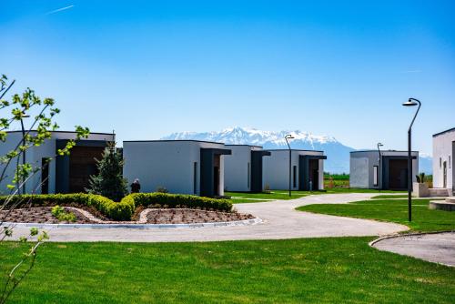 a row of houses with mountains in the background at Serenity Resort in Codlea