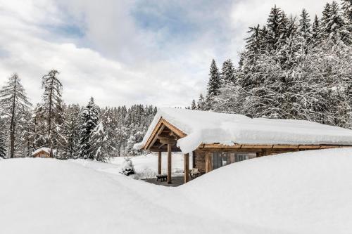 Το La Mendola Alm Chalet τον χειμώνα