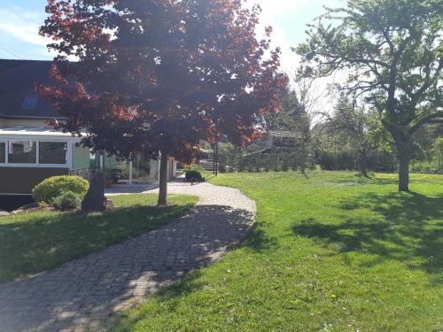 un arbre dans l'herbe à côté d'une maison dans l'établissement Villa/Appartement au coeur des vignes ***, à Barr