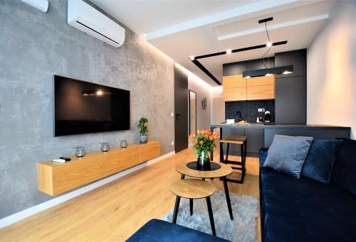 Premium Apartments Rzeszów tesisinde bir televizyon ve/veya eğlence merkezi