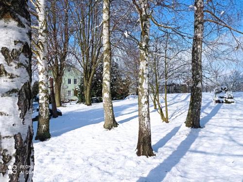 Pension U Václava during the winter