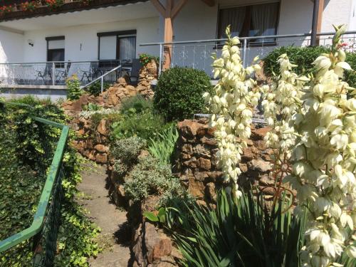 A garden outside Haus Spiessl