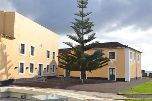 un pin devant un bâtiment dans l'établissement Pousada de Angra do Heroismo Castelo de S. Sebastiao, à Angra do Heroísmo