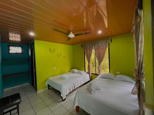 Nuotrauka iš apgyvendinimo įstaigos Los Amigos Jungle Hotel Tortuguero mieste Tortugeras galerijos