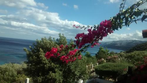 Afbeelding uit fotogalerij van Indipendent apartment with a spectacular view in Cala Gonone